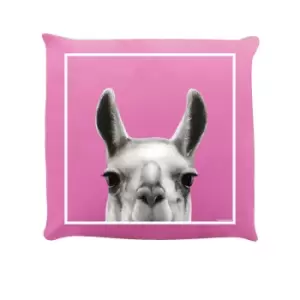 Inquisitive Creatures Llama Filled Cushion (One Size) (Pink)