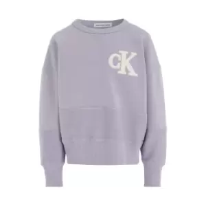 Calvin Klein Jeans Towelling Mono Cn Sweatshirt - Purple