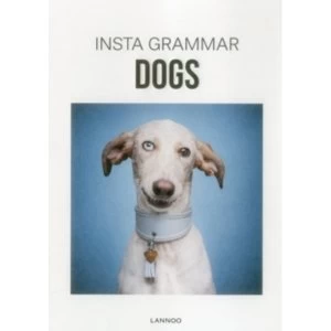 Insta Grammar Dogs : 6