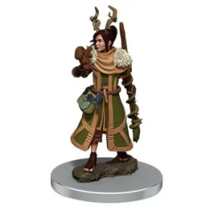 D&amp;D Icons of the Realms Premium Figures (W7) Female Human Druid