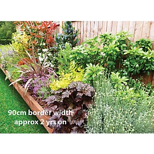 Garden On A Roll Mixed Sunny Border Pack 3m x 60cm Plants