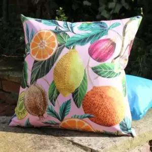 Evans Lichfield - Citrus Print Outdoor Cushion Cover, Multi, 43 x 43 Cm