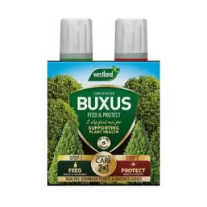 Westland Westland 2 in1 Feed and Protect Buxus - 2 x 500ml