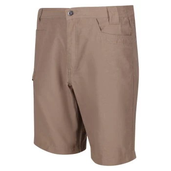 Regatta Delgado Shorts - Gold Sand