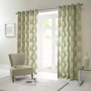 Woodland Trees Print 100% Cotton Eyelet Lined Curtains, Green, 66 x 72" - Fusion