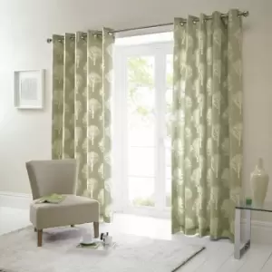 Fusion Woodland Trees Print 100% Cotton Eyelet Lined Curtains, Green, 90 x 90 Inch