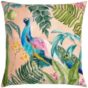 Peacock Outdoor Cushion Blush