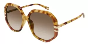 Chloe Sunglasses CH0105S 001