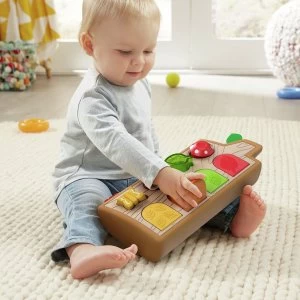 Fisher-Price Hide & Peek Pop-Up Activity Toy