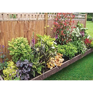 Garden On A Roll Mixed Shady Border Pack 10m x 60cm Plants