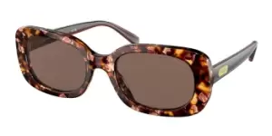 Coach Sunglasses HC8358U 571173