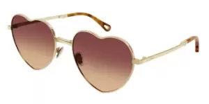 Chloe Sunglasses CH0071S 003