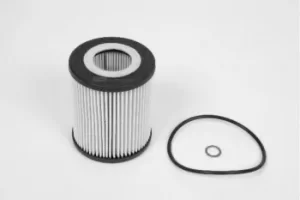 Champion XE573 COF100573E Oil Filter Insert