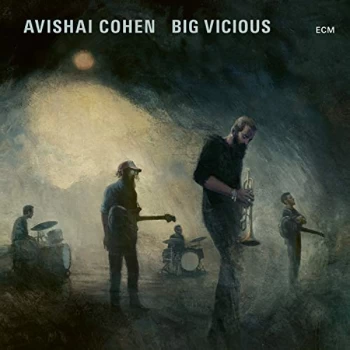 Avishai Cohen - Big Vicious Vinyl