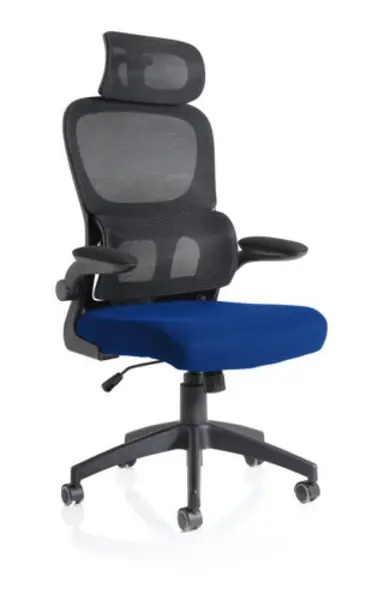 Iris Task Operator Black Mesh Back Bespoke Stevia Blue Fabric Seat With Headrest