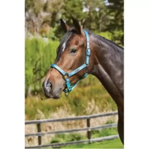 Weatherbeeta Ombre Headcollar - Multi