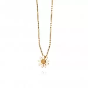 Marguerite Daisy 18ct Gold Plated Necklace N4002_GP