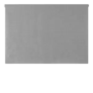 Paoletti Eclipse Roller Blind (91x162cm) (Silver)