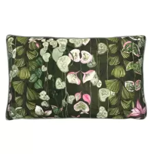 Veadeiros Botanical Cushion Pink