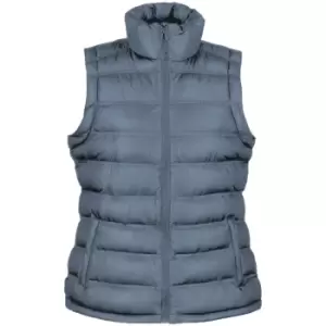 Result Ladies/Womens Ice Bird Padded Bodywarmer / Gilet Jacket (S) (Frost Grey)