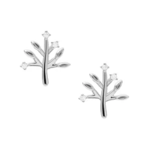 Fossil Elliott Tree Of Life Sterling Silver Stud Earrings