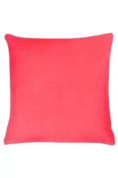 Tanda Soft Velvet Cushion