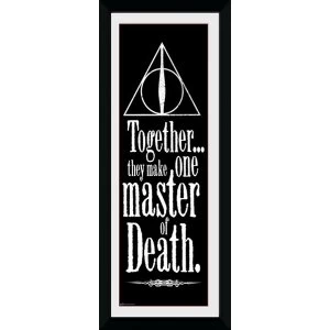 Harry Potter Deathly Hallows Framed Collector Print