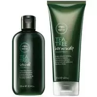 Paul Mitchell Tea Tree Tea Tree Special Care and Treat Duo