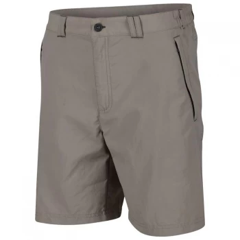 Regatta Leesville II Walking Shorts - Rock Grey