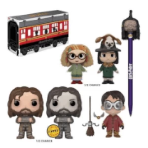 Funko Harry Potter EXC Mystery Box