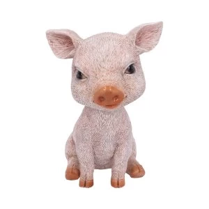 Bob Trotter Pig Bobble Head Figure