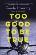 too good to be true a novel