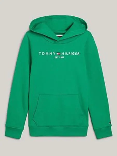 Tommy Hilfiger Boys Essential Hoodie - Olympic Green, Size 4 Years Green VSUD4 Unisex 4 YEARS