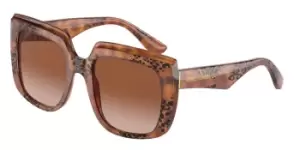 Dolce & Gabbana Sunglasses DG4414 338013