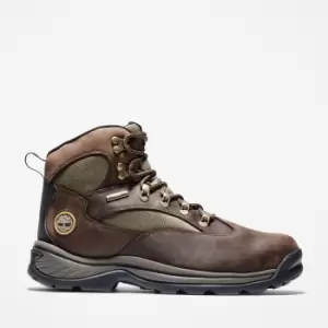 Timberland Chocorua Waterproof Hiking Boot For Men In Brown, Size 9.5