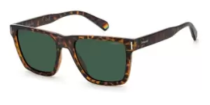 Polaroid Sunglasses PLD 6176/S 086/UC