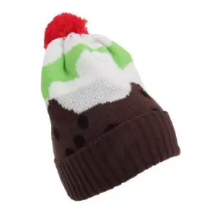 Childrens/Kids Christmas Design Knitted Winter Hat (3 Designs) (One Size) (Christmas Pudding)