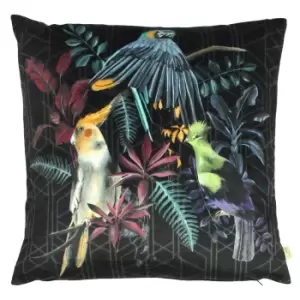 Evans Lichfield Zinara Bird Cushion Cover (43cm x 43cm) (Multicoloured)