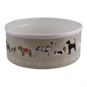 Large Ceramic Dog Bowl, 20cm