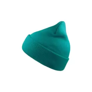 Atlantis Wind Double Skin Beanie With Turn Up (One Size) (Turquoise)