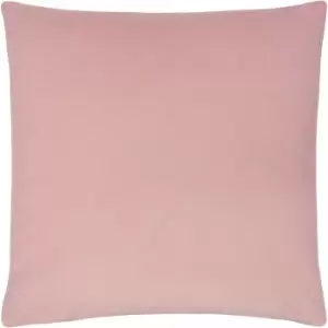 Sunningdale Velvet Square Cushion Powder, Powder / 50 x 50cm / Polyester Filled