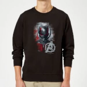 Avengers Endgame Ant Man Brushed Sweatshirt - Black - XXL