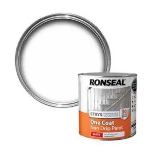 Skip20A Ron Paint Onecoat Stays White Gl