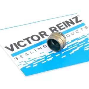 REINZ Valve Stem Seals 70-25837-00 Valve Stem Oil Seals,Valve Seals VW,AUDI,BMW,Golf IV Schragheck (1J1)