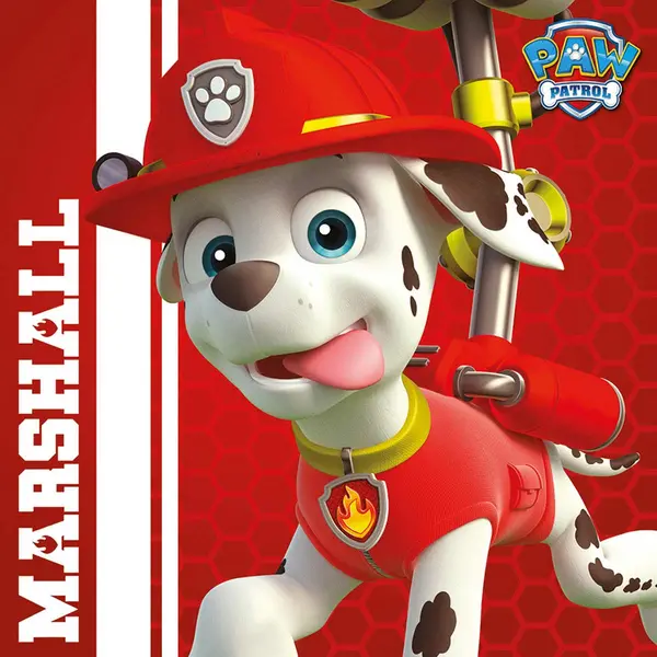 Paw Patrol (Marshall Ready To Rescue) 40x40 Canvas DC95932