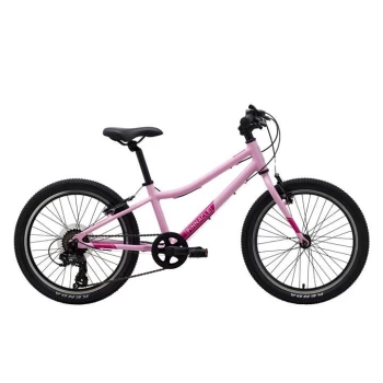 Pinnacle Ash 20" Kids Bike - Pink