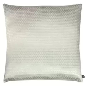 Evans Lichfield Opulence Velveteen Cushion Cover (55cm x 55cm) (Feather)