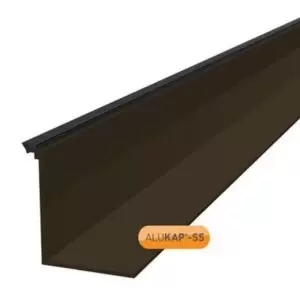 Alukap Ss Roof Low Profile Cap, (L)3M (W)60mm