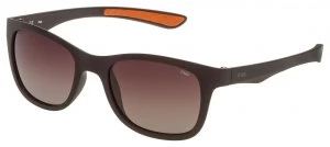 Fila Shiny Intermediate Brown Sunglasses.