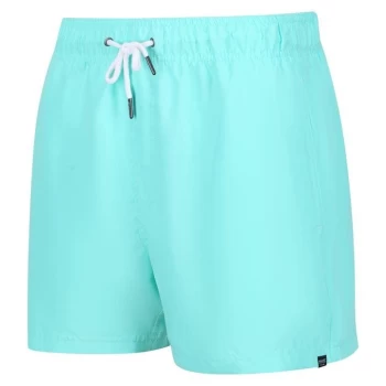 Regatta Mawson Swim Shorts III - Green